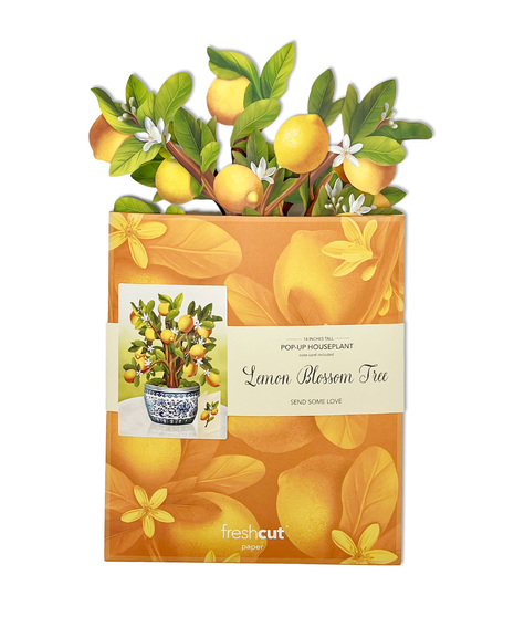 Lemon Blossom Tree Popup Fresh Cut Paper Card