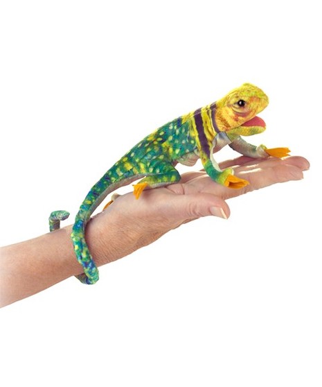 Mini Collared Lizard