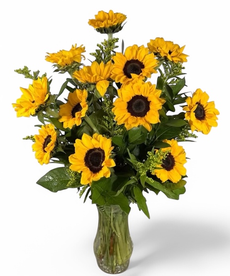 One Dozen Sunflowers