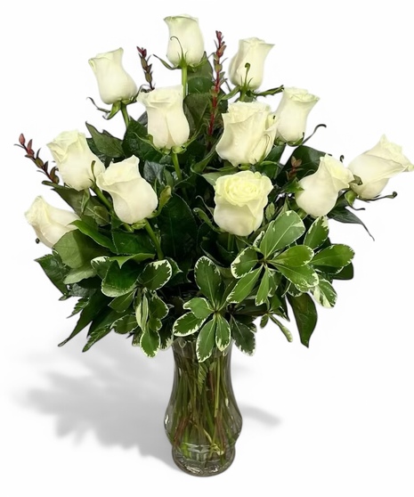 One Dozen White Roses