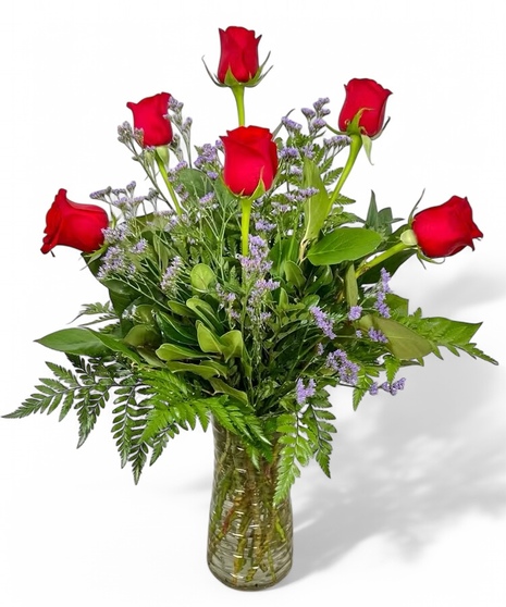 Six Premium Long Stemmed Red Roses