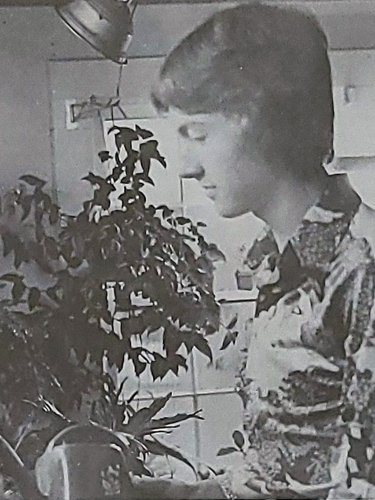 George Clements, age 15, inspects a floral arrangement