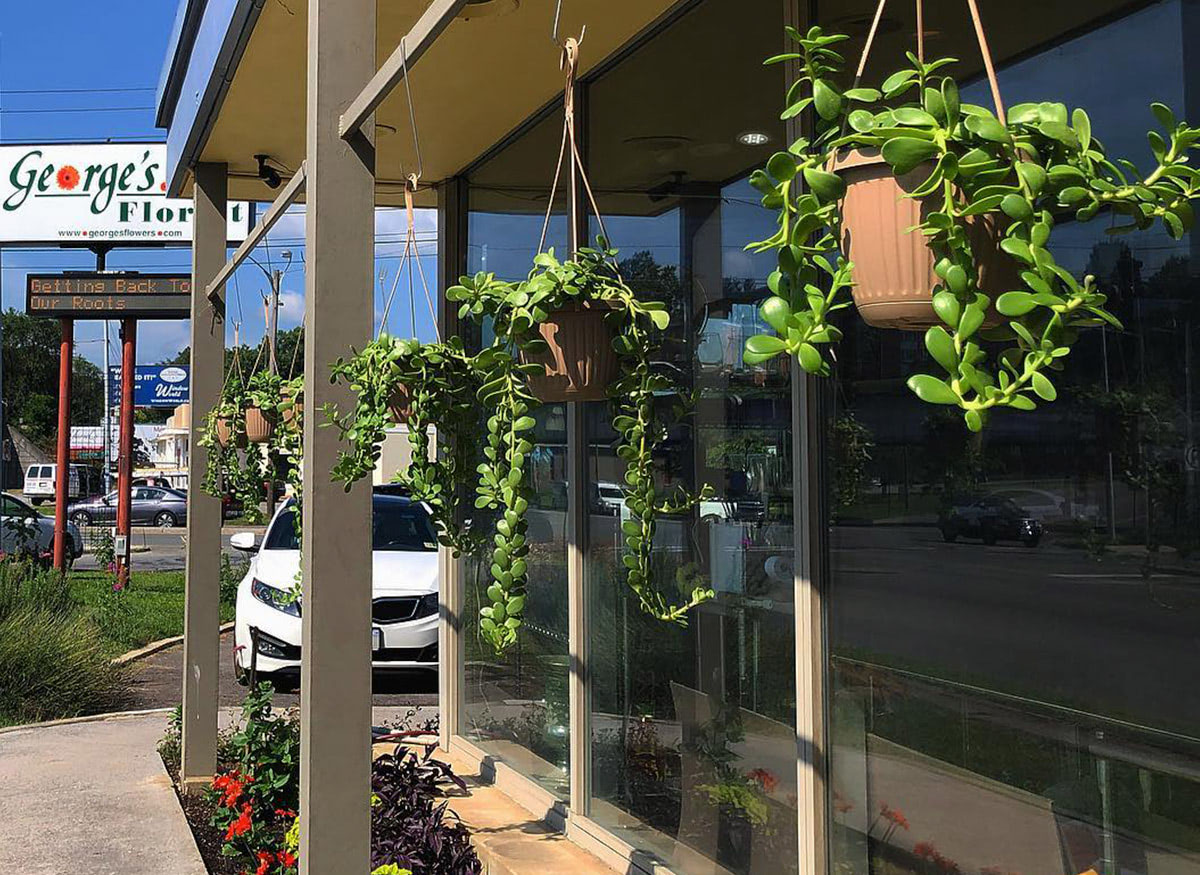 A view of our exterior, with fresh potted plants hung from the ceiling